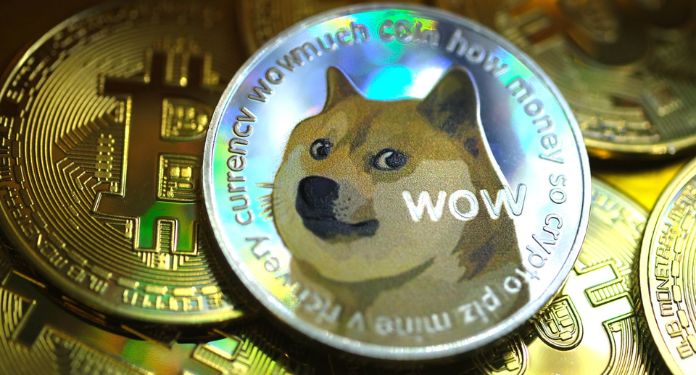 Criador da Dogecoin e Elon Musk zombam de possível retirada do X no Brasil