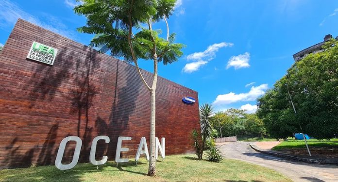 Samsung Ocean Oferece Cursos Gratuitos em Tecnologia para Agosto