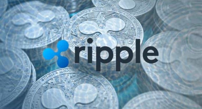 Cofundador da Ripple apoia oficialmente candidatura de Harris para presidente